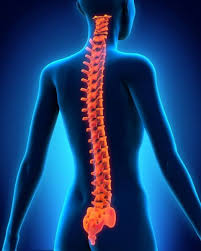 TERAPIA FISICA EN COLUMNA VERTEBRAL